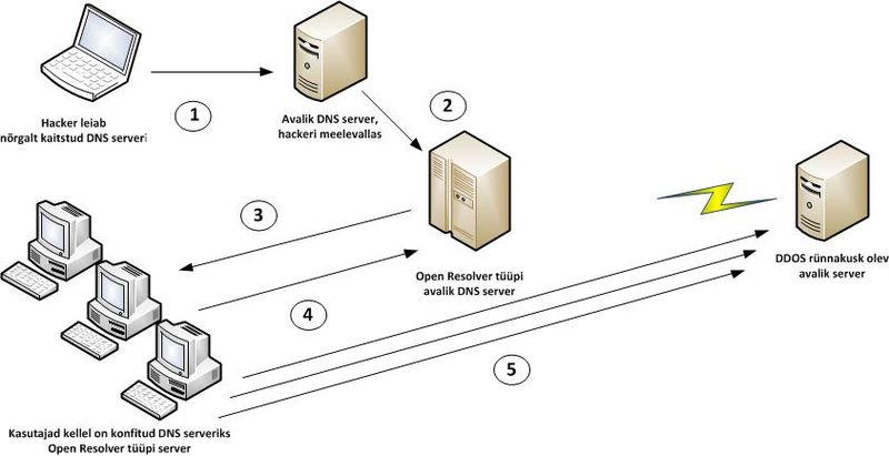 File:DDOS Rynnak1.jpg