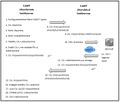 Thumbnail for version as of 13:17, 25 October 2011