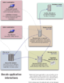 Thumbnail for version as of 14:31, 6 January 2015